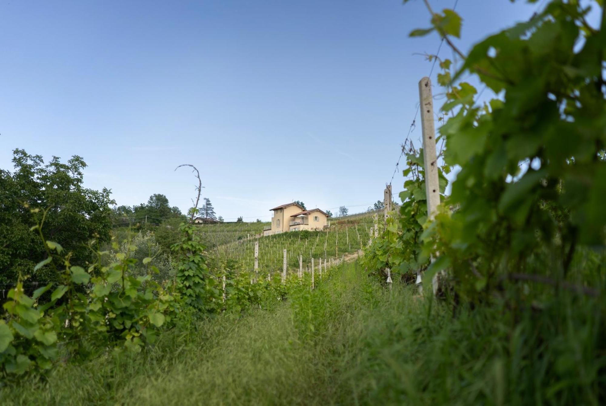 I Ciabot Di Monforte Monforte dʼAlba Buitenkant foto